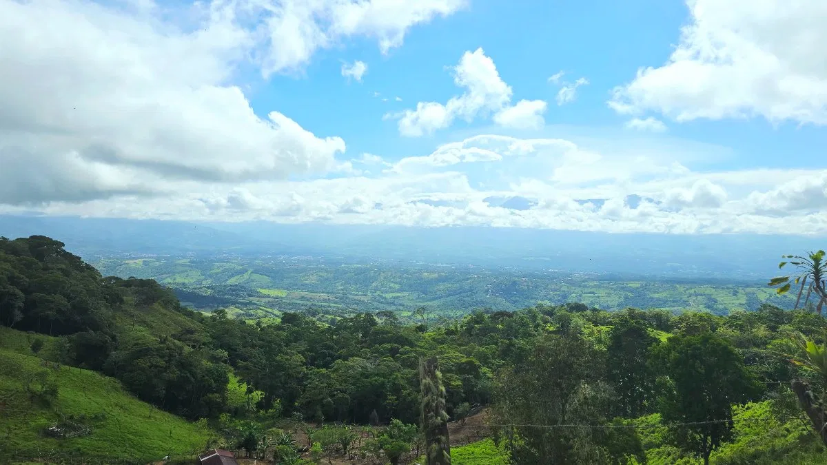 SE VENDE FINCA CON AGUA PROPIA Y VISTAS ESPECTACULARES DE INVERSION - Venta en Pérez Zeledón