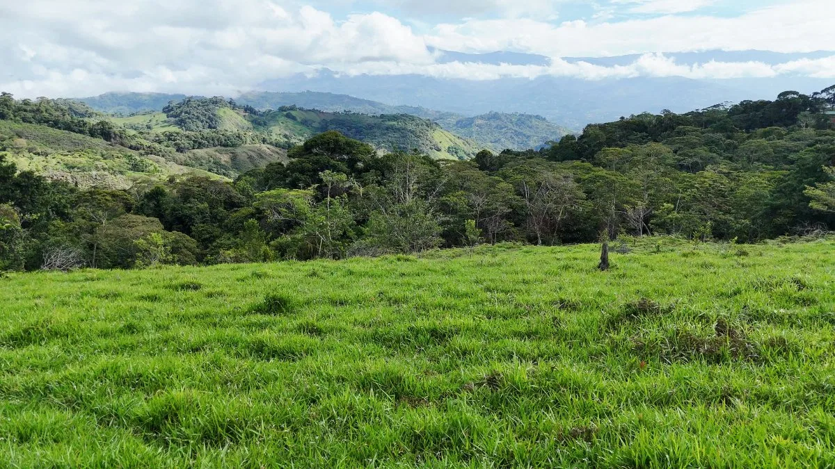 SE VENDE FINCA CON AGUA PROPIA Y VISTAS ESPECTACULARES DE INVERSION - Venta en Pérez Zeledón, photo 2