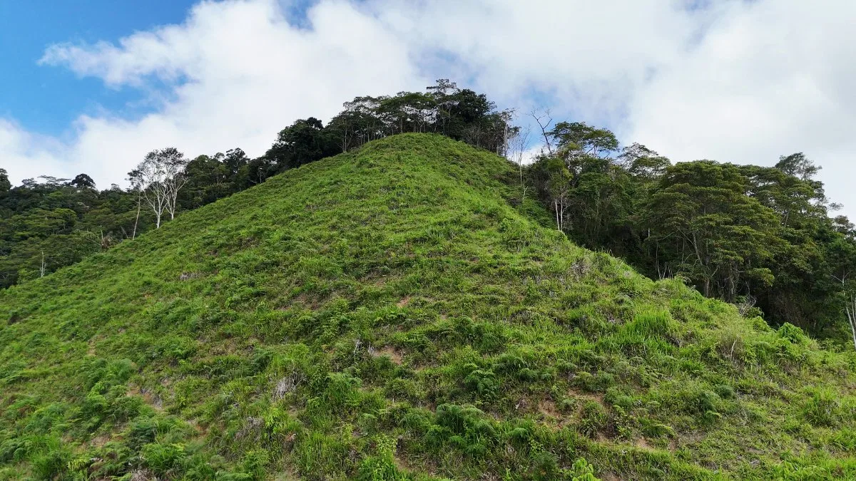 SE VENDE FINCA CON AGUA PROPIA Y VISTAS ESPECTACULARES DE INVERSION - Venta en Pérez Zeledón, photo 11