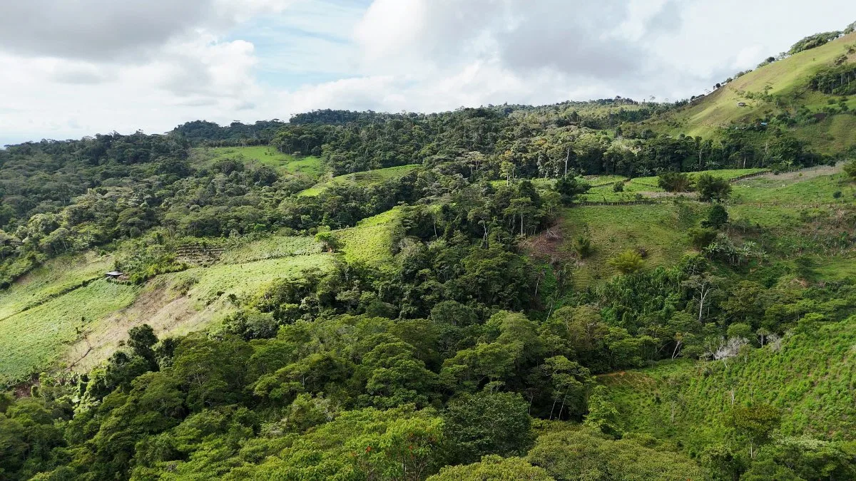 SE VENDE FINCA CON AGUA PROPIA Y VISTAS ESPECTACULARES DE INVERSION - Venta en Pérez Zeledón, photo 12