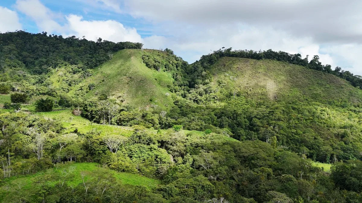 SE VENDE FINCA CON AGUA PROPIA Y VISTAS ESPECTACULARES DE INVERSION - Venta en Pérez Zeledón, photo 13