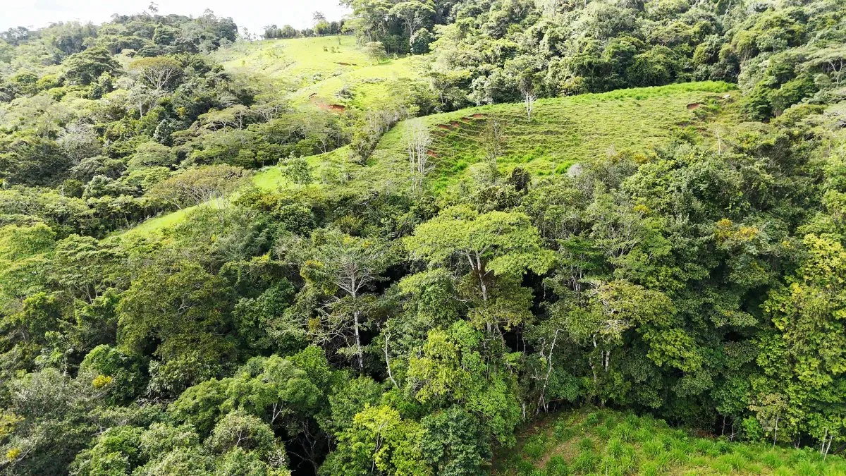 SE VENDE FINCA CON AGUA PROPIA Y VISTAS ESPECTACULARES DE INVERSION - Venta en Pérez Zeledón, photo 14