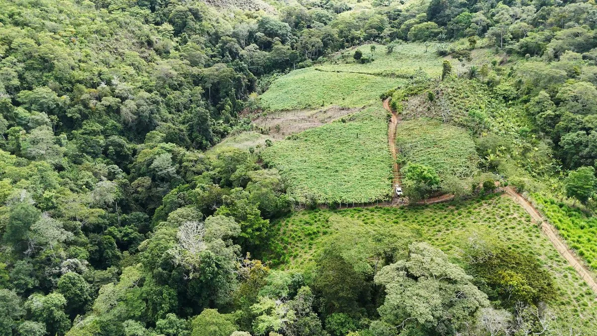 SE VENDE FINCA CON AGUA PROPIA Y VISTAS ESPECTACULARES DE INVERSION - Venta en Pérez Zeledón, photo 15