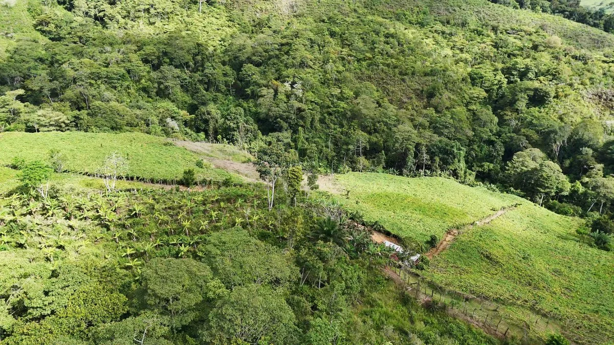 SE VENDE FINCA CON AGUA PROPIA Y VISTAS ESPECTACULARES DE INVERSION - Venta en Pérez Zeledón, photo 16