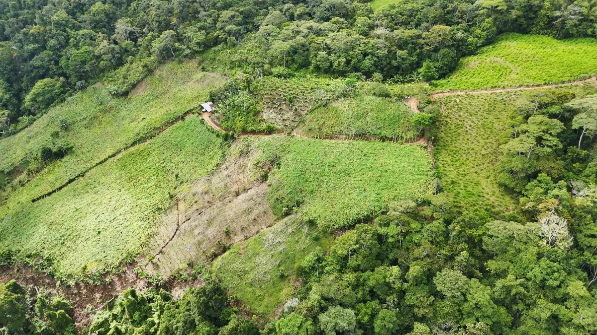 SE VENDE FINCA CON AGUA PROPIA Y VISTAS ESPECTACULARES DE INVERSION - Venta en Pérez Zeledón, photo 17