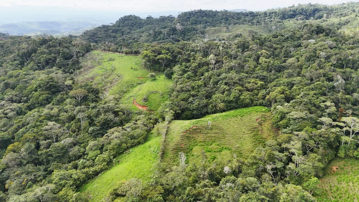 SE VENDE FINCA CON AGUA PROPIA Y VISTAS ESPECTACULARES DE INVERSION - Venta en Pérez Zeledón, photo 5