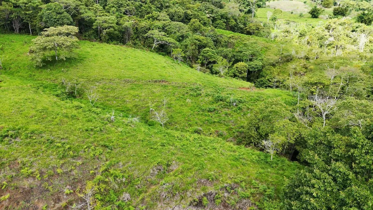 SE VENDE FINCA CON AGUA PROPIA Y VISTAS ESPECTACULARES DE INVERSION - Venta en Pérez Zeledón, photo 6