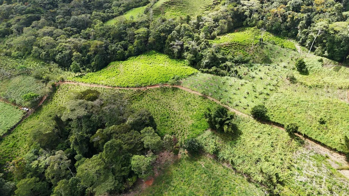 SE VENDE FINCA CON AGUA PROPIA Y VISTAS ESPECTACULARES DE INVERSION - Venta en Pérez Zeledón, photo 7