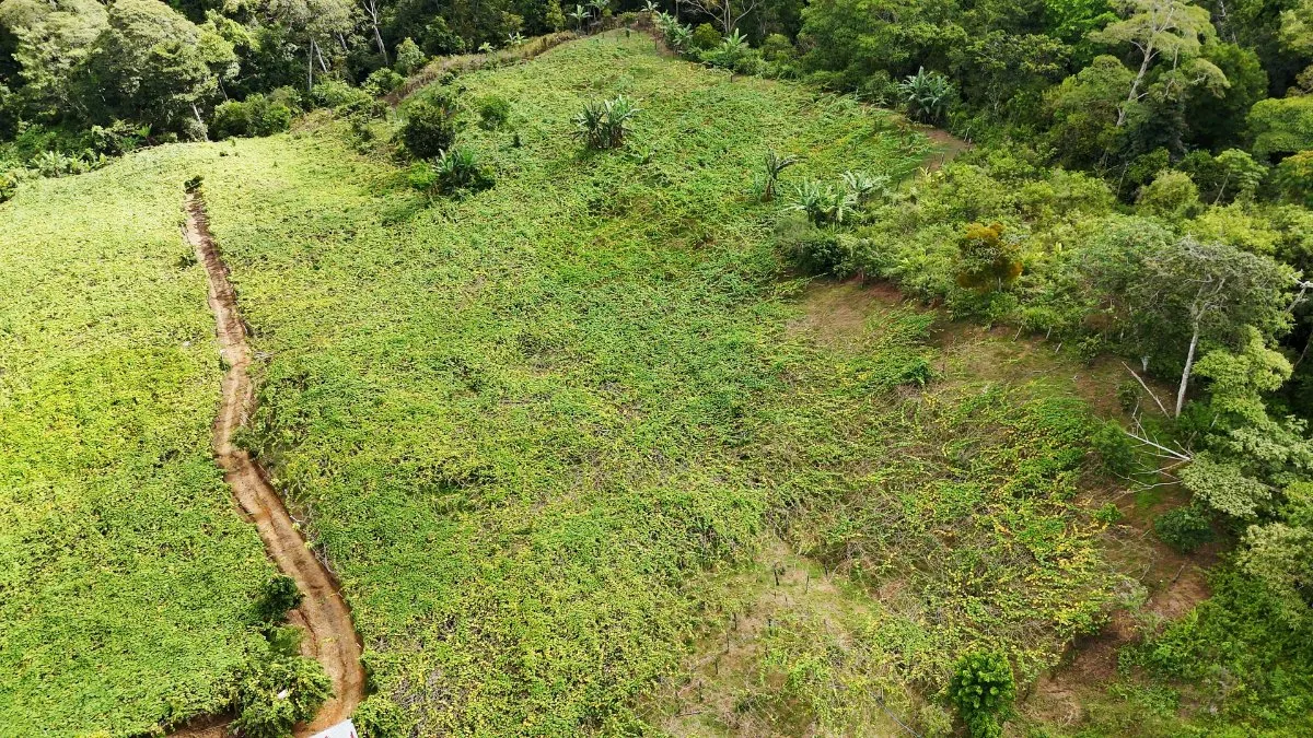 SE VENDE FINCA CON AGUA PROPIA Y VISTAS ESPECTACULARES DE INVERSION - Venta en Pérez Zeledón, photo 8