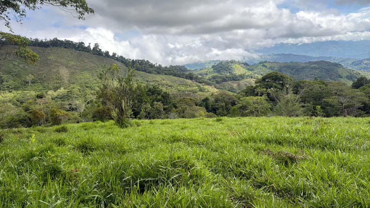 SE VENDE FINCA CON AGUA PROPIA Y VISTAS ESPECTACULARES DE INVERSION - Venta en Pérez Zeledón, photo 10