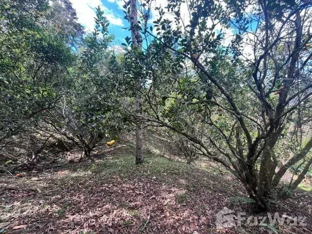 NEWLY REMODELED HOME FOR SALE – SANTA ELENA, PÉREZ ZELEDÓN - Venta en Perez Zeledón, photo 11