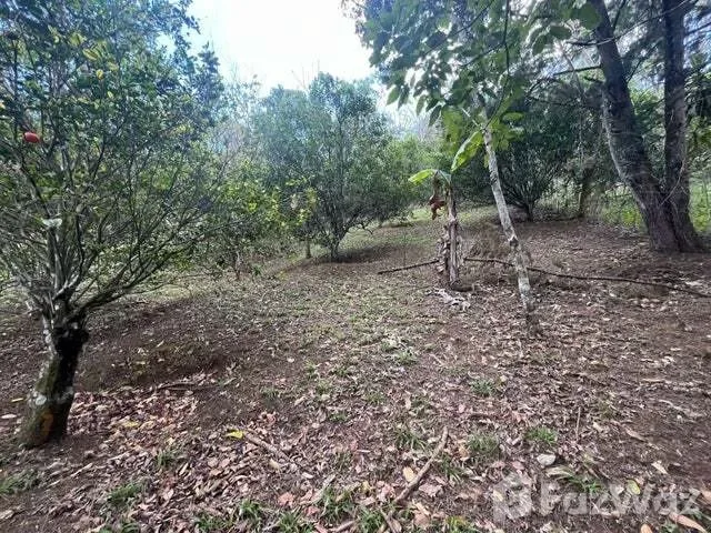 NEWLY REMODELED HOME FOR SALE – SANTA ELENA, PÉREZ ZELEDÓN - Venta en Perez Zeledón, photo 14