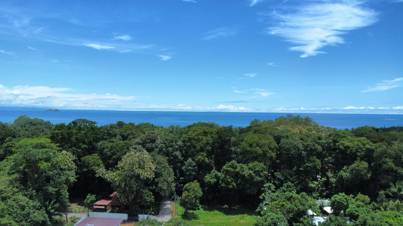 PRIME LAND OPPORTUNITY ON THE ROAD TO PLAYA CHAMAN – 0.83 ACRES, photo 11