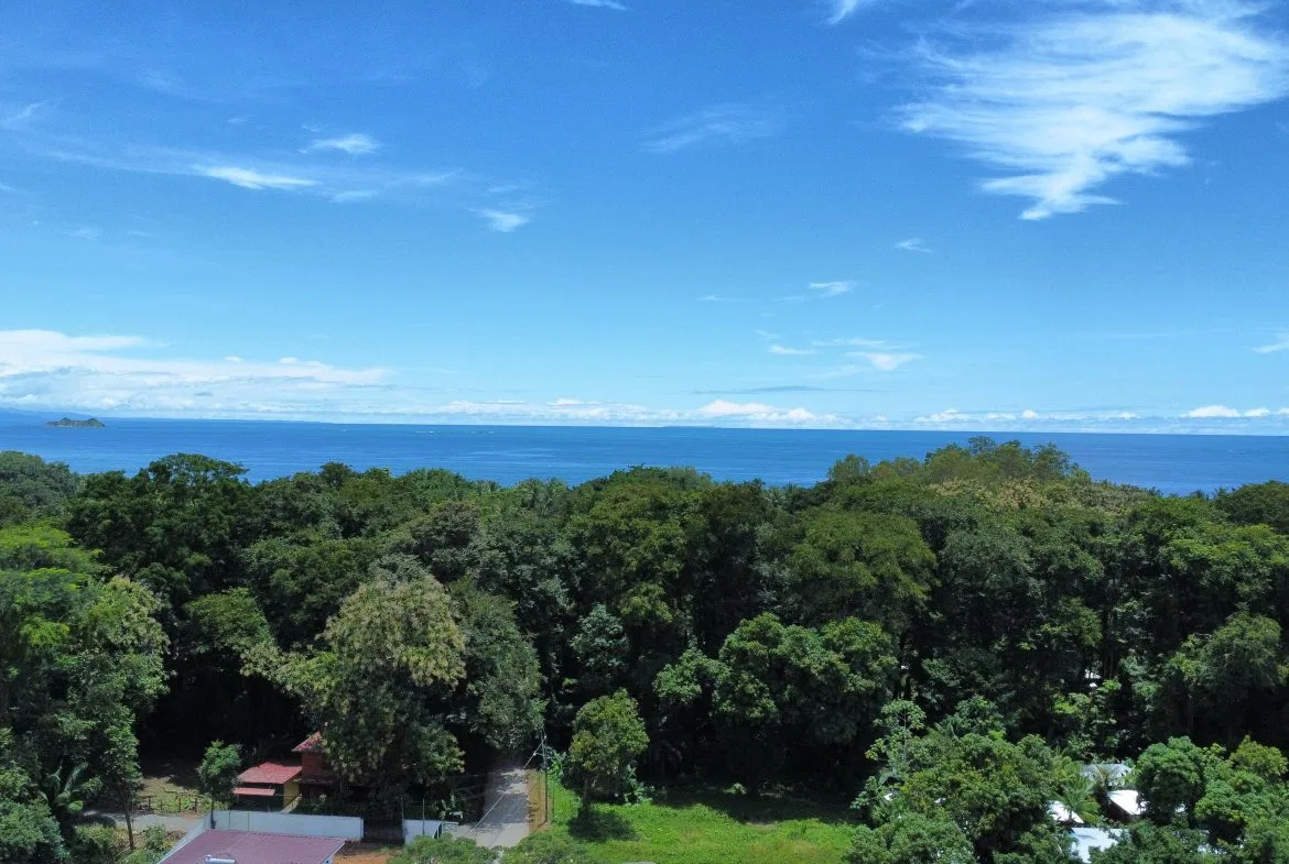 PRIME LAND OPPORTUNITY ON THE ROAD TO PLAYA CHAMAN – 0.83 ACRES, photo 12