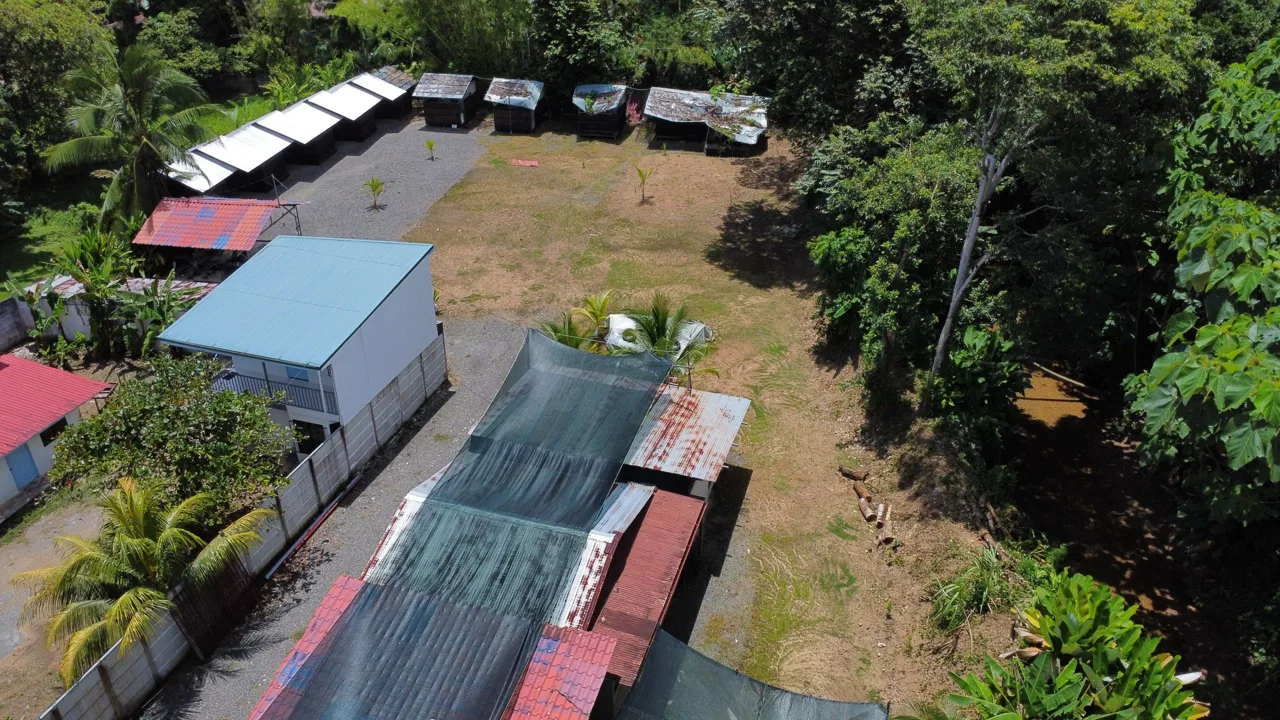 PRIME LAND OPPORTUNITY ON THE ROAD TO PLAYA CHAMAN – 0.83 ACRES, photo 23
