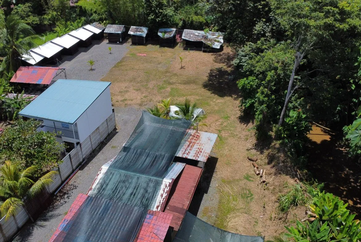 PRIME LAND OPPORTUNITY ON THE ROAD TO PLAYA CHAMAN – 0.83 ACRES, photo 24