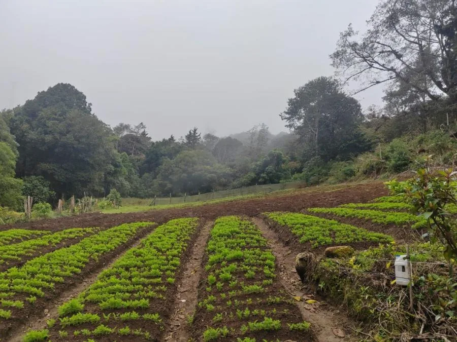 Venta de Lote en Montes de Oca, San José. - Venta en Montes de Oca, photo 13