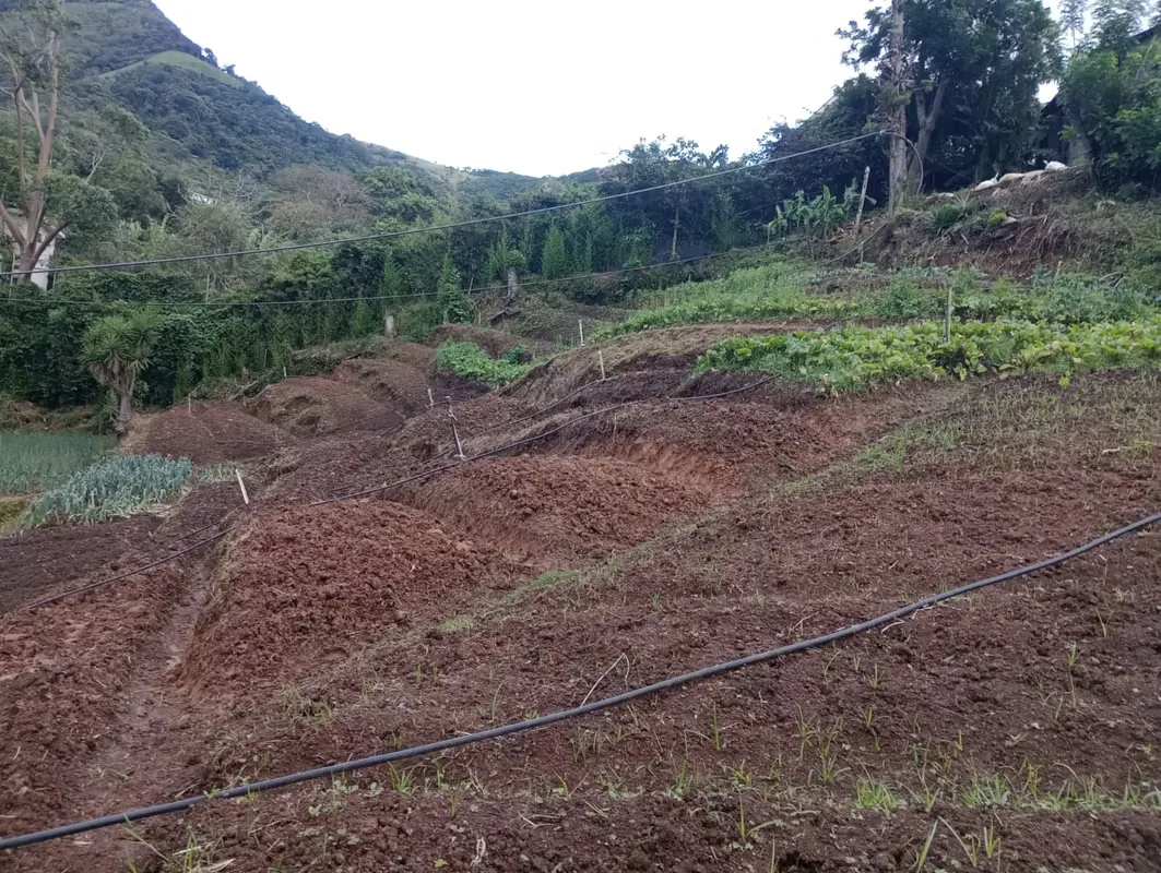 En las fotos se aprecia, el diseño, la producción, y sobre todo el mantenimiento. Si desea emprender en la agricultura esta es su oportunidad. Esta preciosa propiedad ubicada en San ..., photo 16