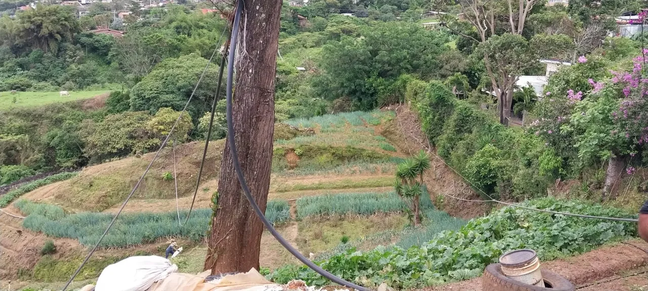 En las fotos se aprecia, el diseño, la producción, y sobre todo el mantenimiento. Si desea emprender en la agricultura esta es su oportunidad. Esta preciosa propiedad ubicada en San ..., photo 10