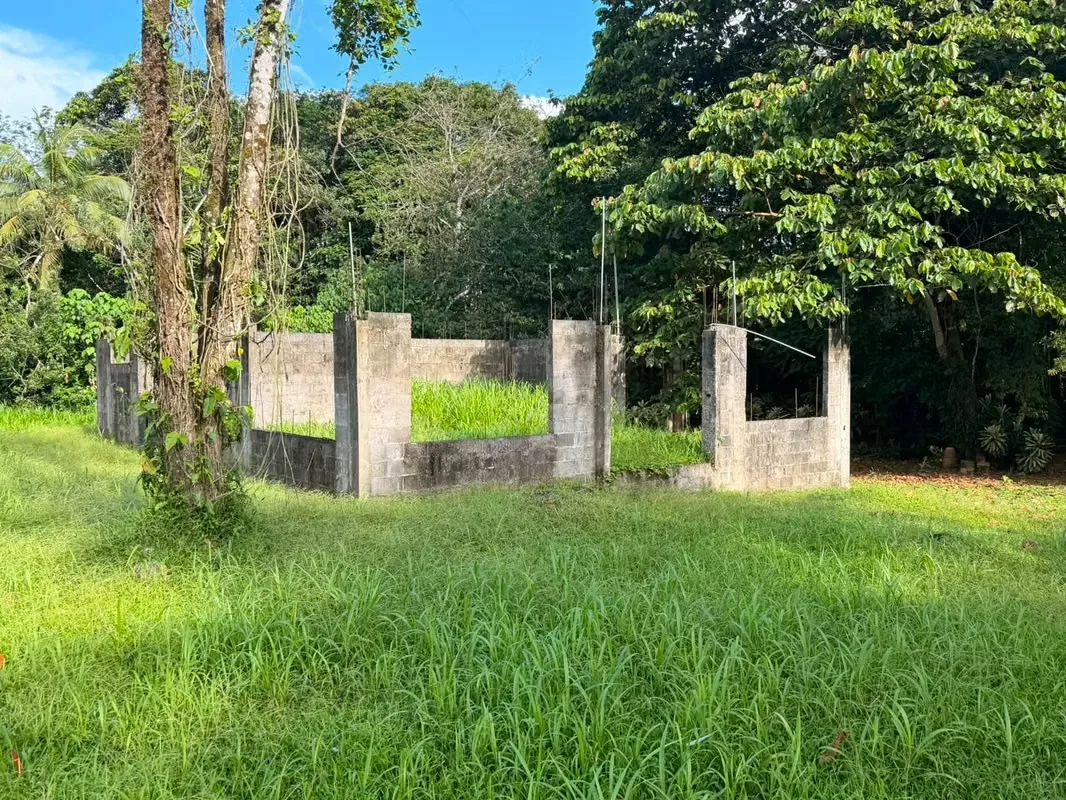 Property for sale in La Fortuna de San Carlos!, photo 2