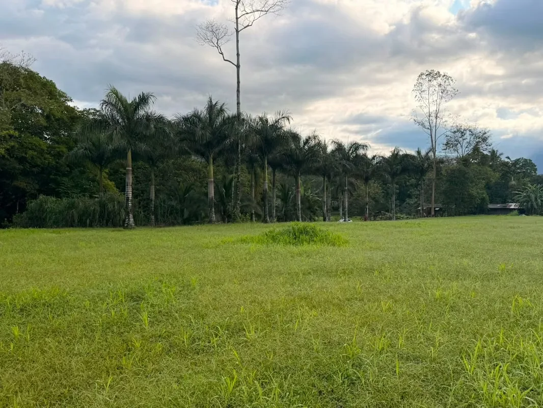 Property for sale in La Fortuna de San Carlos!, photo 3