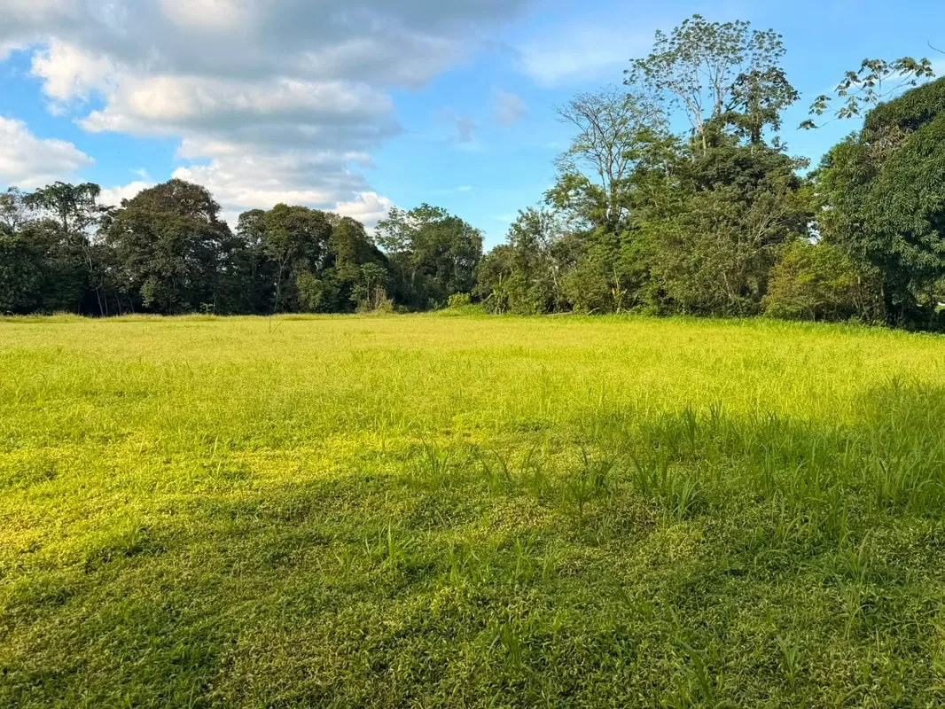 Property for sale in La Fortuna de San Carlos!, photo 4