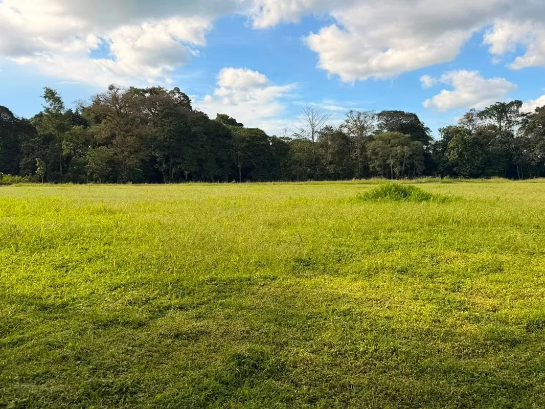 Property for sale in La Fortuna de San Carlos!, photo 5