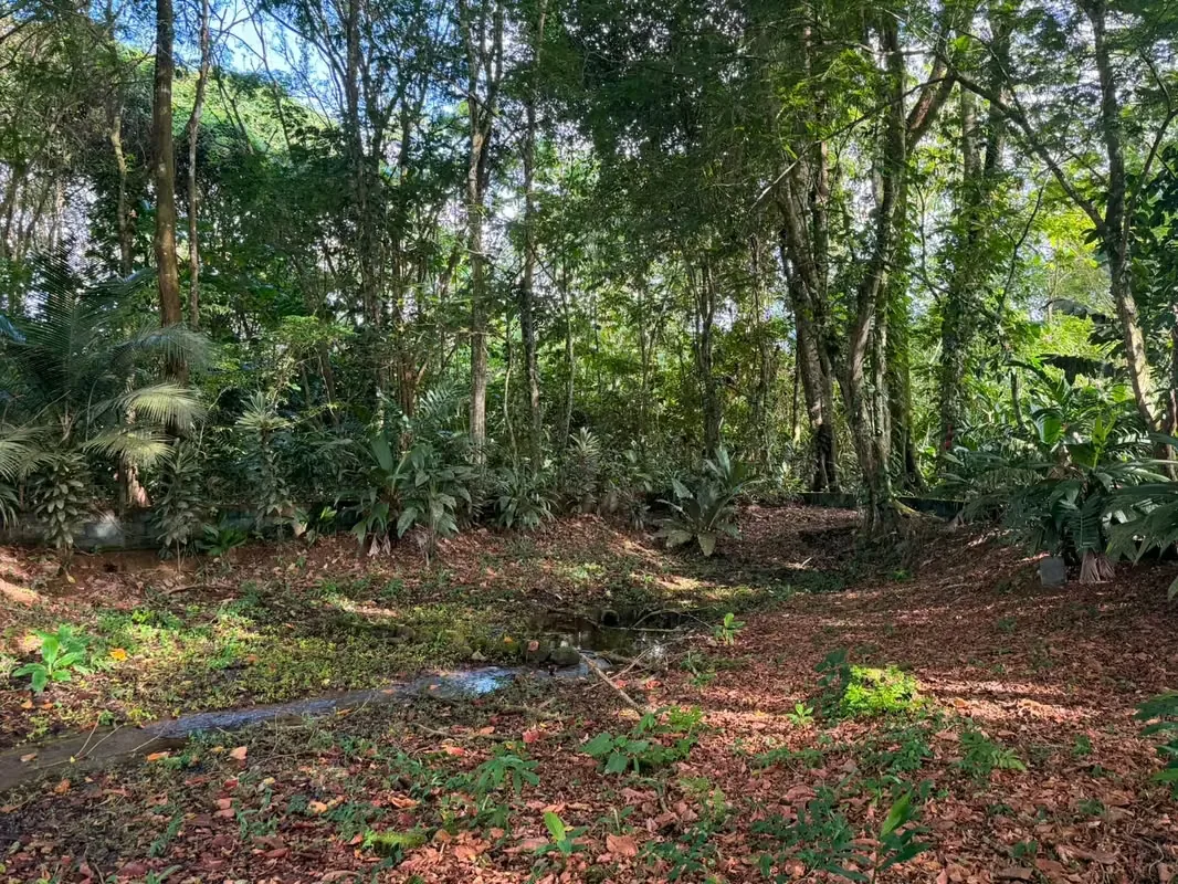 Property for sale in La Fortuna de San Carlos!, photo 6