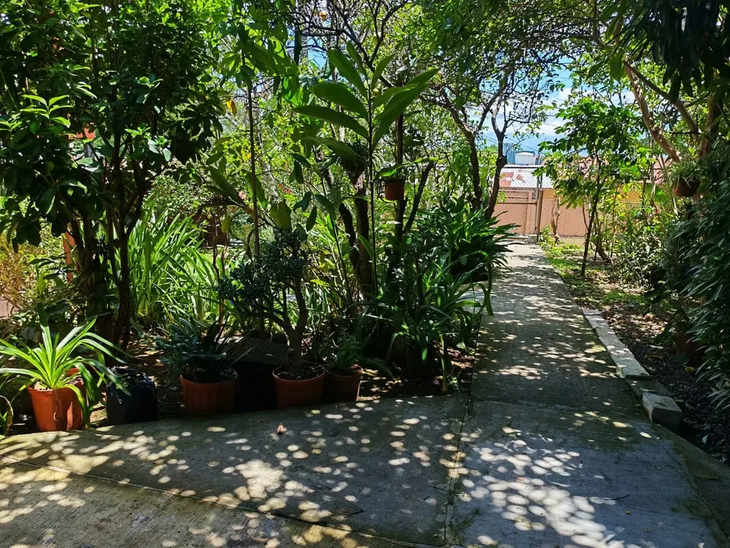 135,000,000 | VENTA DE CASA CON APARTAMENTO INDEPENDIENTE EN SAN ANTONIO DE ESCAZÚ, photo 5