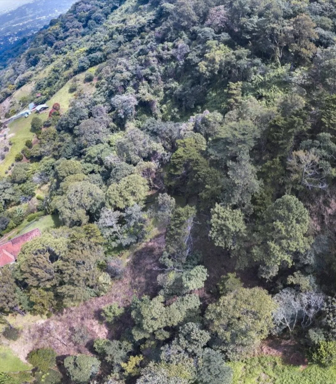 OPORTUNIDAD! Se Vende Finca 11 hectáreas con Casa 438 m2 Salitral de Santa Ana, photo 5