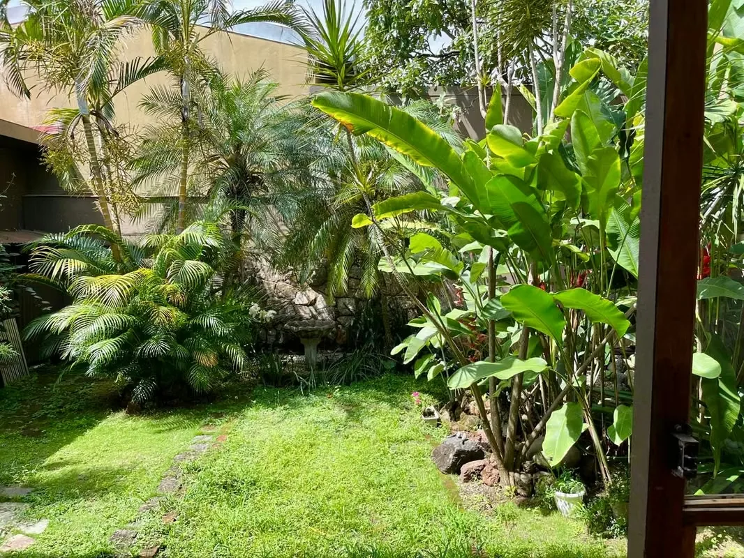 Charming one-story home for sale in Los Yoses, San José, photo 12