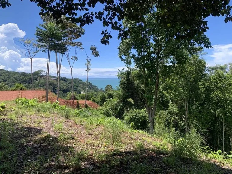 Stunning Ocean View Property in Uvita, photo 2