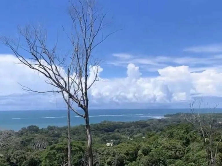 Stunning Ocean View Property in Uvita, photo 3