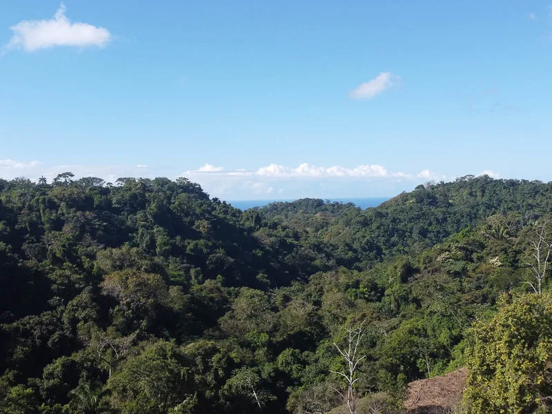Land For Sale in Santiago
