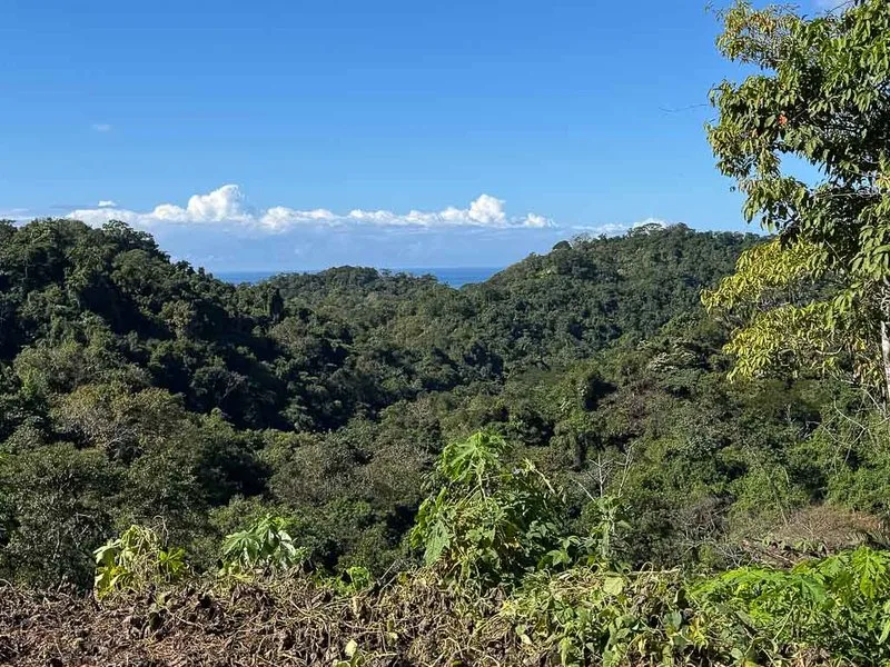 Land For Sale in Santiago, photo 2