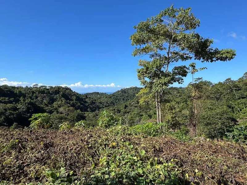 Land For Sale in Santiago, photo 3