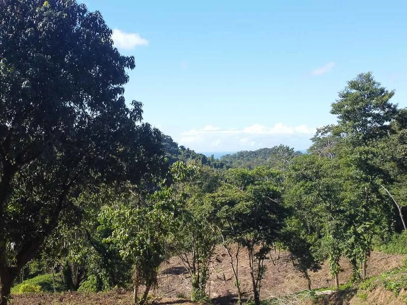 Land For Sale in Santiago, photo 5