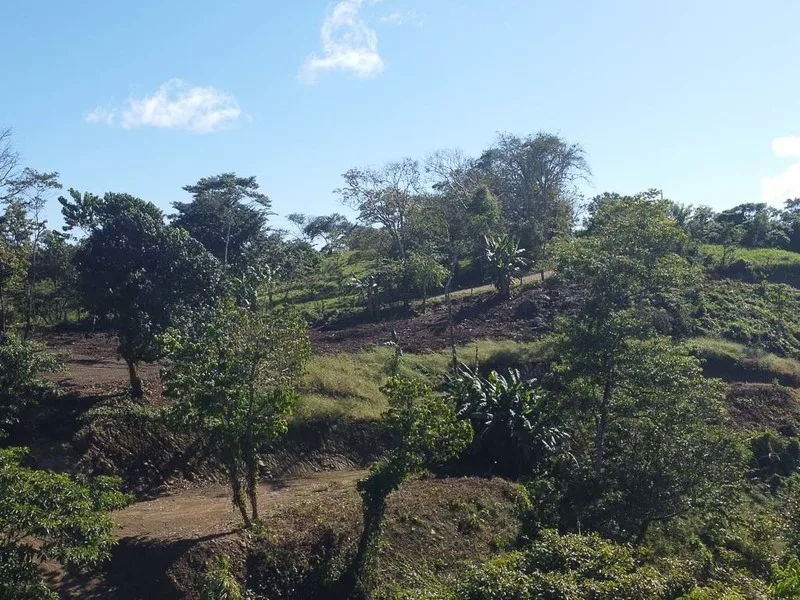 Land For Sale in Santiago, photo 6