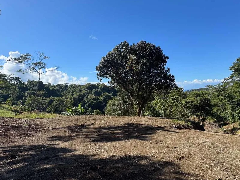 Land For Sale in Santiago, photo 7