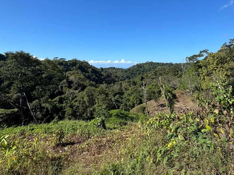 Land For Sale in Santiago, photo 9
