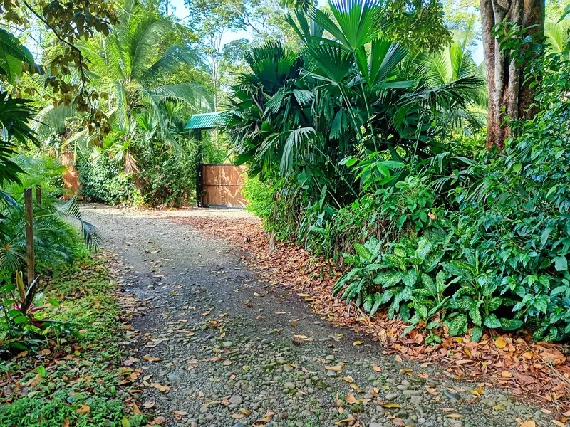 3 Bed Single Family Homes For Sale in Puerto Viejo, photo 11