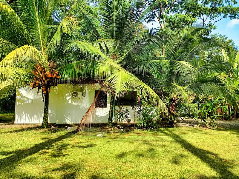 3 Bed Single Family Homes For Sale in Puerto Viejo, photo 12