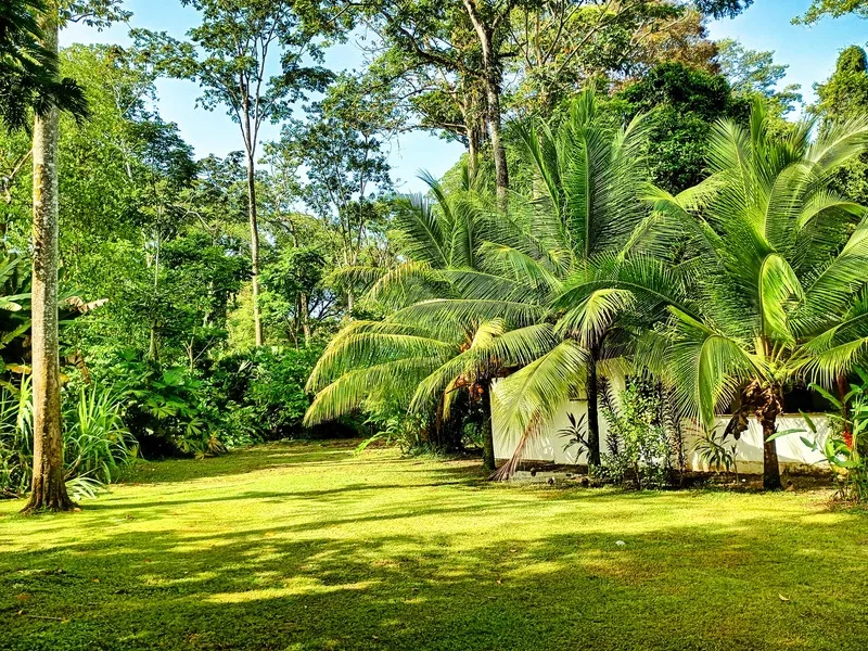 3 Bed Single Family Homes For Sale in Puerto Viejo, photo 7