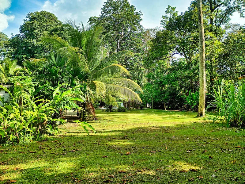 3 Bed Single Family Homes For Sale in Puerto Viejo, photo 8