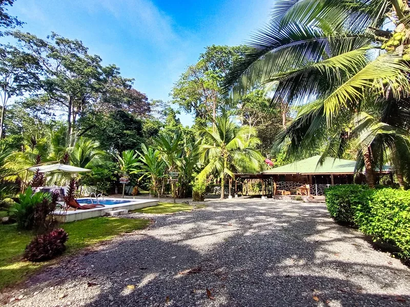 3 Bed Single Family Homes For Sale in Puerto Viejo, photo 9