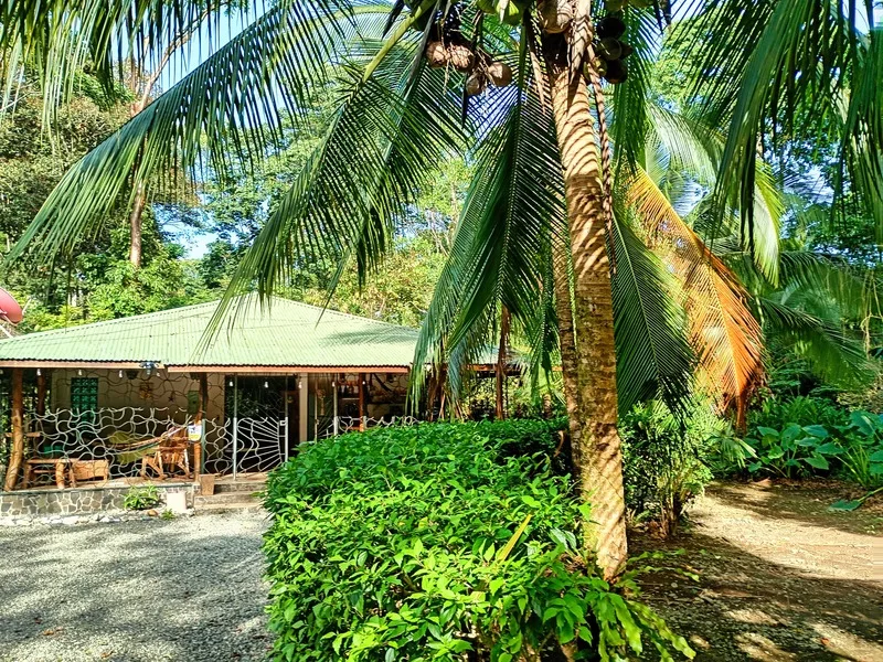 3 Bed Single Family Homes For Sale in Puerto Viejo, photo 10
