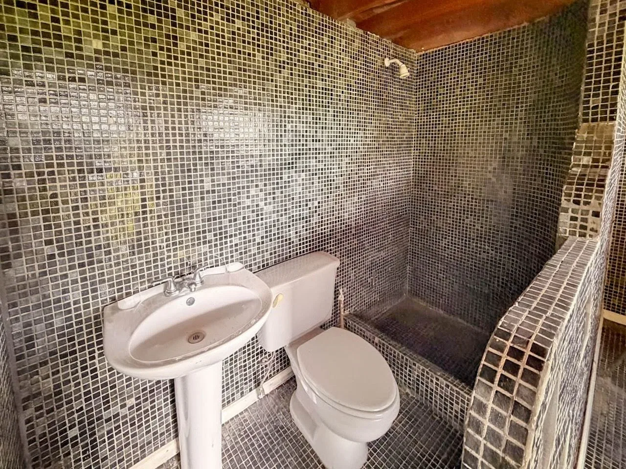 Casa amplia y amueblada en residencial privado en Santa Ana, photo 35