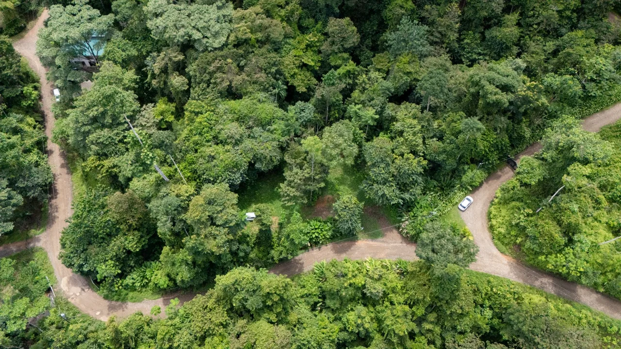 JUNGLE PROPERTY IN UVITA – 0.7 ACRES, photo 11