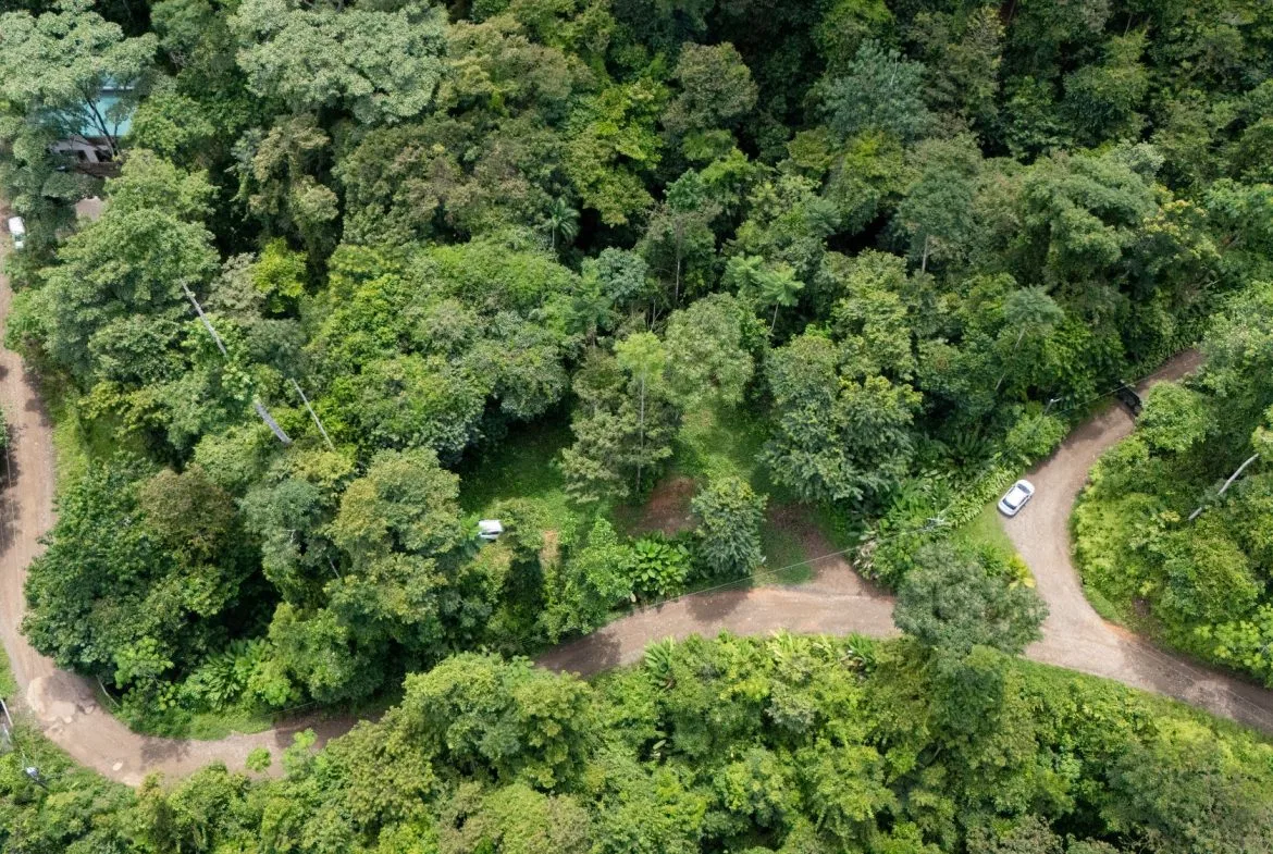 JUNGLE PROPERTY IN UVITA – 0.7 ACRES, photo 12