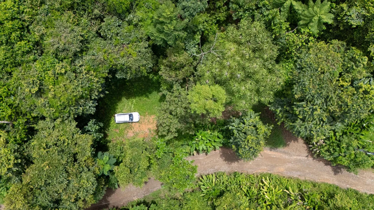 JUNGLE PROPERTY IN UVITA – 0.7 ACRES, photo 13